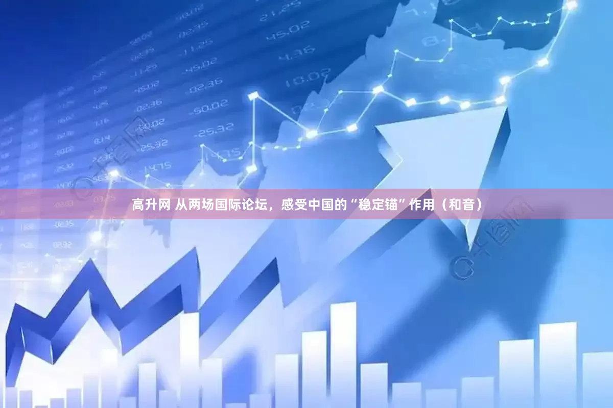 高升网 从两场国际论坛，感受中国的“稳定锚”作用（和音）