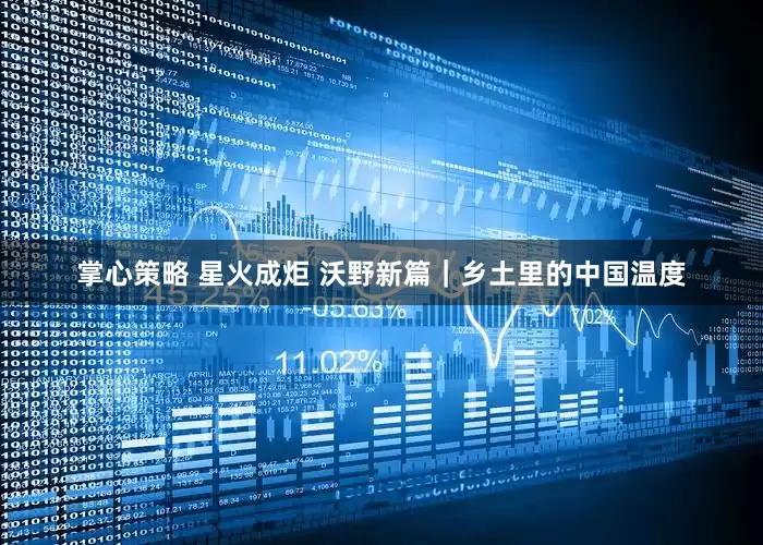 掌心策略 星火成炬 沃野新篇｜乡土里的中国温度
